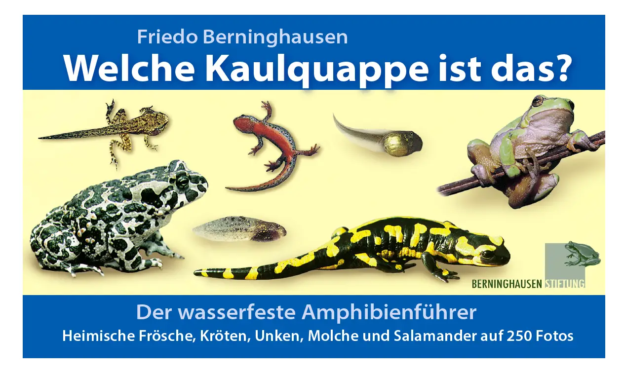 Buchtitel Welche Kaulquappe ist das?