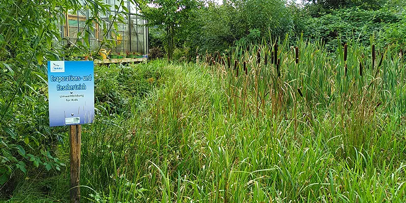 Schild Kescherteich