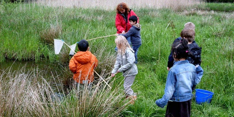 Kinder mit Keschern auf der Suche nach Kaulquappen und Fröschen