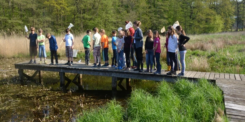 Kinder auf einem Steg bei der Erkundung des Teichs