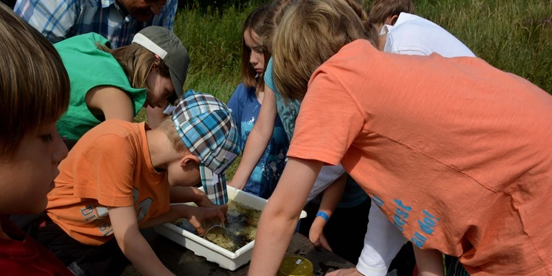 Kinder beim Beobachten von Amphibien