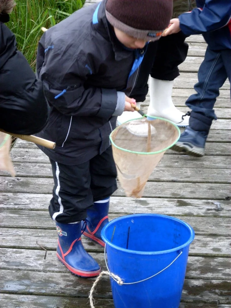 Kind mit Kescher mit Amphibien