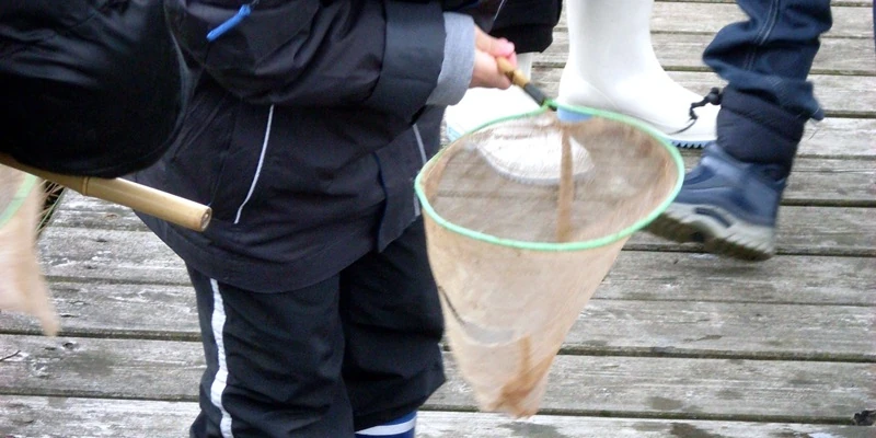 Kind mit Kescher mit Amphibien