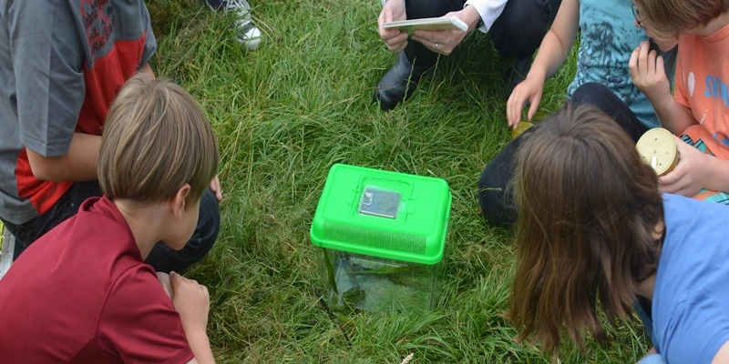 Kinder bei der Bestimmung von Amphibien
