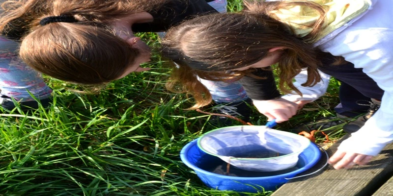Kinder beim Erkunden des Fangs