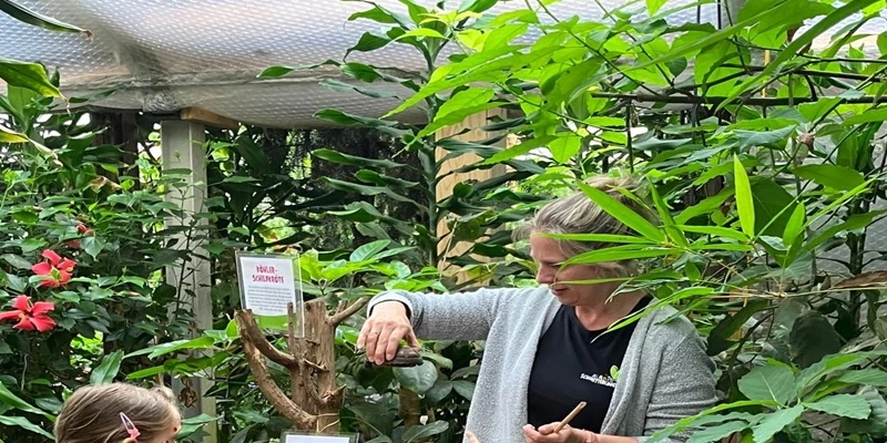 Mitarbeiterin vom Schmetterlingshaus zeigt Kindern Schmetterlinge