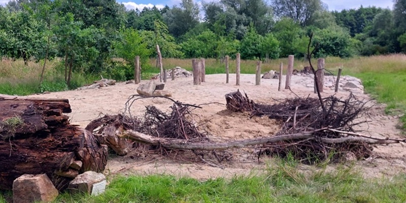 Reptilienburg TitelBild